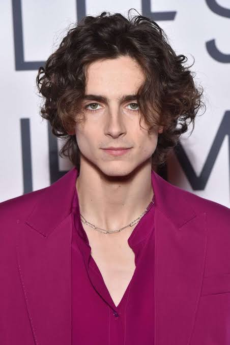 Timothee Chalamet