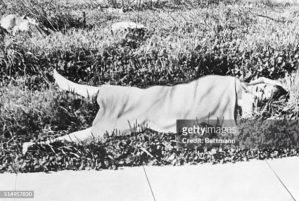 images2810292091843162