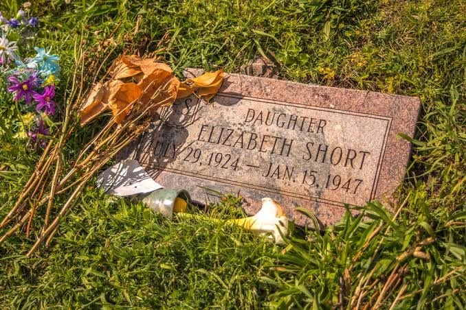 images28929147910352