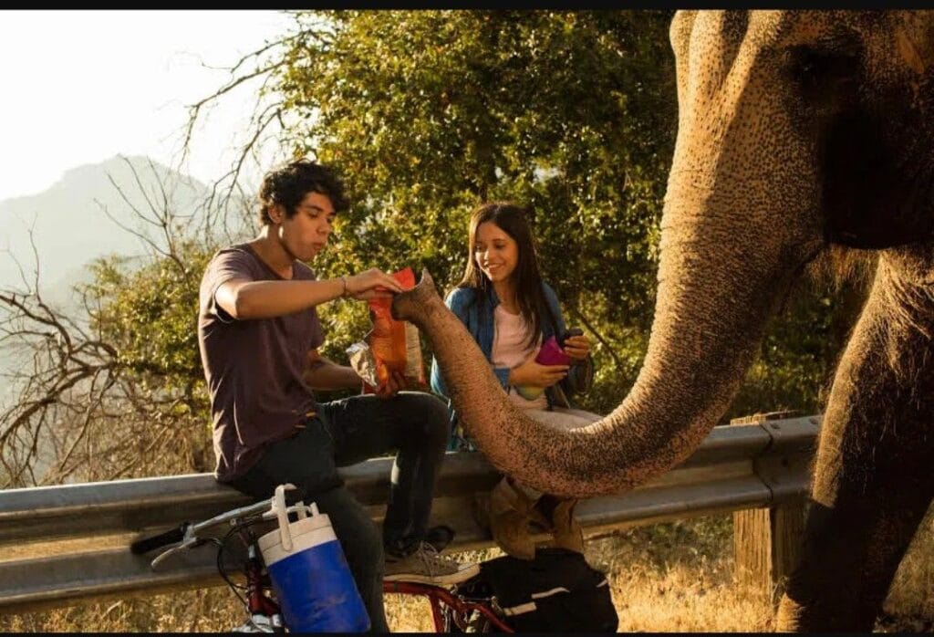 img 20240721 2344441127718964