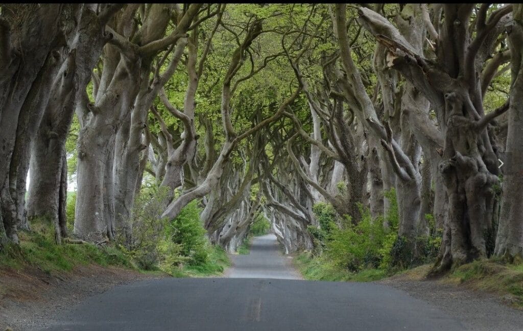 img 20240826 002101589895220