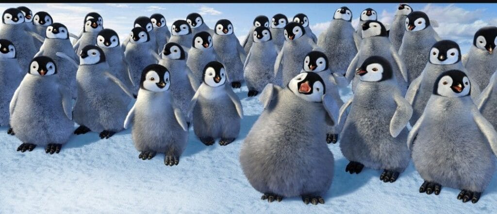 img 20240905 2240112040931689