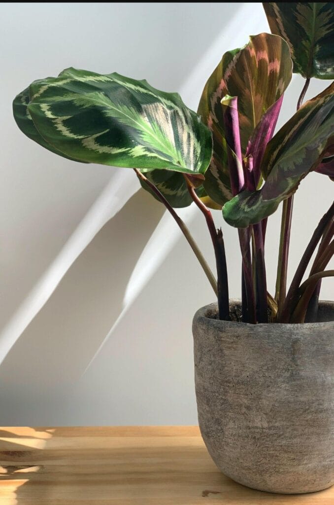 img 20250416 163257503841935