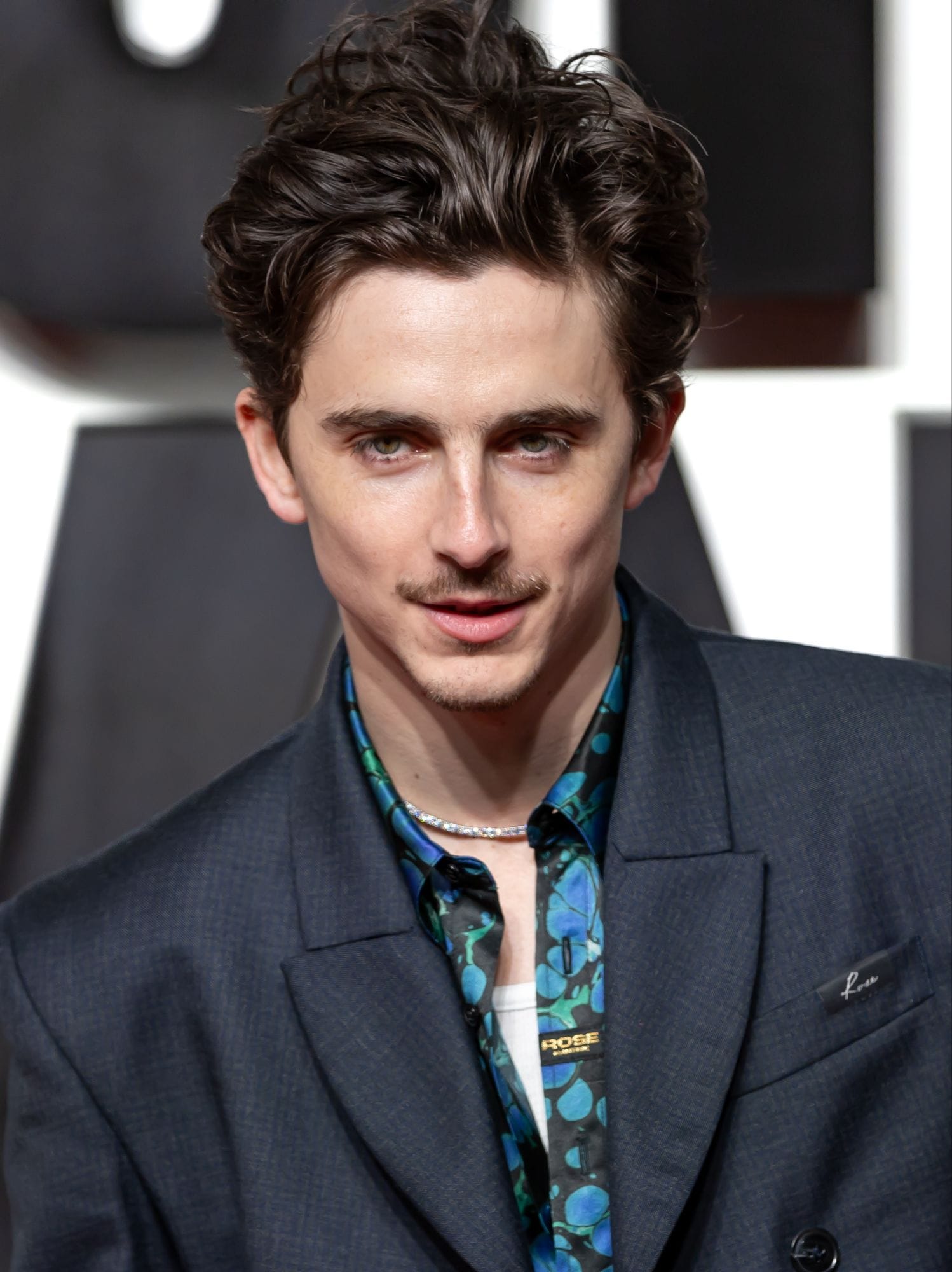 timothC3A9e chalamet 2025 2 28cropped29707009763272952695