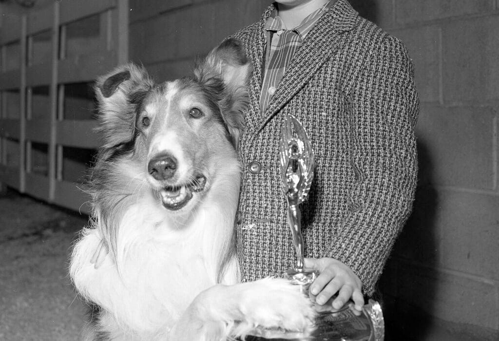 Jon_Provost_and_Lassie_with_the_Patsy_Award
