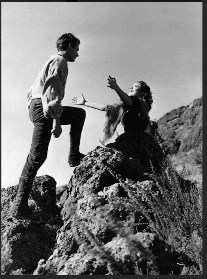 img 20260131 0159352142768847986791920