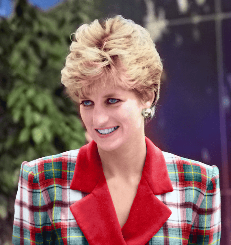 princess diana at accord hospice colorized8328297771859485483